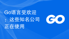 Go语言受欢迎:这些知名公司正在使用