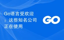 Go语言受欢迎:这些知名公司正在使用