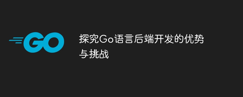 Go 言語でのバックエンド開発の利点と課題を探る