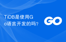 TiDB是使用Go语言开发的吗?