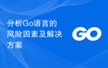 分析Go语言的风险因素及解决方案