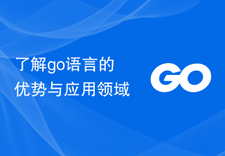 了解go语言的优势与应用领域