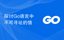 探讨Go语言中不可寻址的值