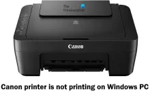 佳能打印机无法在Windows PC上打印;