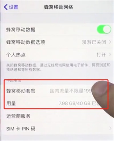 Detailed steps to check mobile traffic on Apple mobile phone