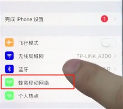 Detailed steps to check mobile traffic on Apple mobile phone