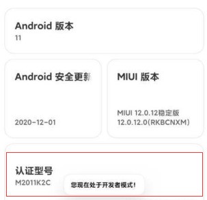 Bagaimana untuk menyediakan penyahpepijatan USB pada Xiaomi Mi 11_Cara untuk menyediakan penyahpepijatan USB pada Xiaomi Mi 11