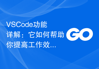 VSCode 기능에 대한 자세한 설명: 작업 효율성을 높이는 데 어떻게 도움이 되나요?