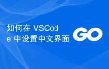 如何在 VSCode 中设置中文界面
