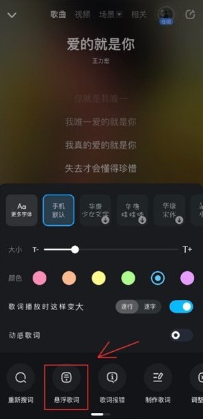 How to turn off the floating lyrics of Kugou Music_How to turn off the floating lyrics of Kugou Music