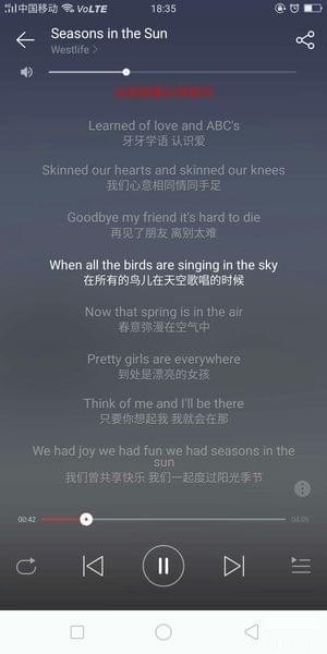 网易云音乐英文歌怎么显示中文_网易云音乐中英歌词翻译方法