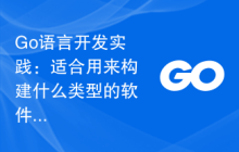 Go语言开发实践：适合用来构建什么类型的软件？