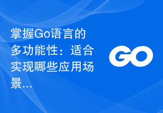 掌握Go语言的多功能性：适合实现哪些应用场景？