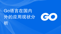 Go语言在国内外的应用现状分析