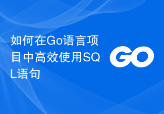 How to use SQL statements efficiently in Go language projects-Golang-php.cn