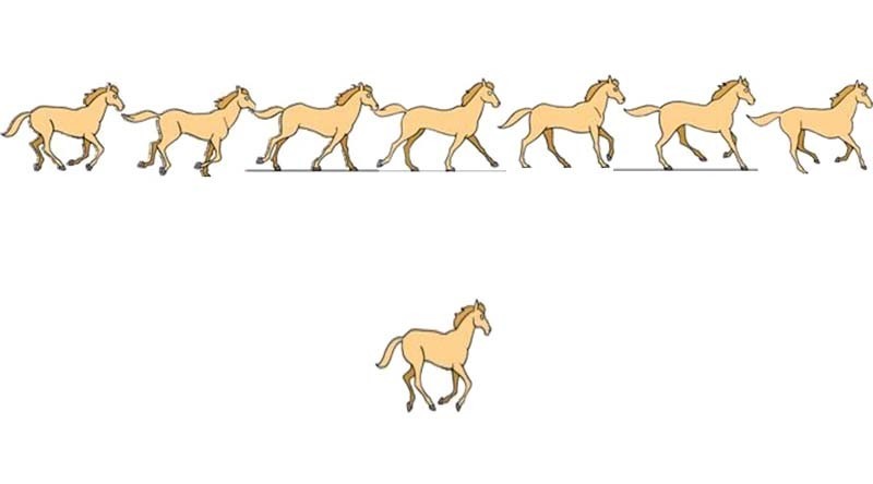 Detailed method for designing a horse running animation using PPT