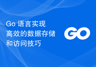 Go 语言实现高效的数据存储和访问技巧