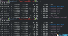 20 Linux commands and tips to double your efficiency