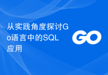 从实践角度探讨Go语言中的SQL应用