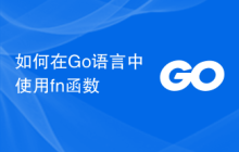 如何在Go语言中使用fn函数