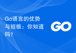 Go语言的优势与短板：你知道吗？
