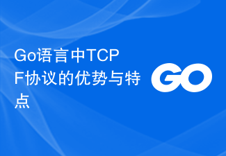 Go语言中TCPF协议的优势与特点
