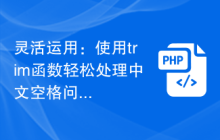灵活运用：使用trim函数轻松处理中文空格问题