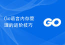 Go语言内存管理的进阶技巧