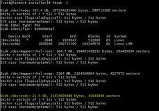 如何在Linux系统上添加新的磁盘