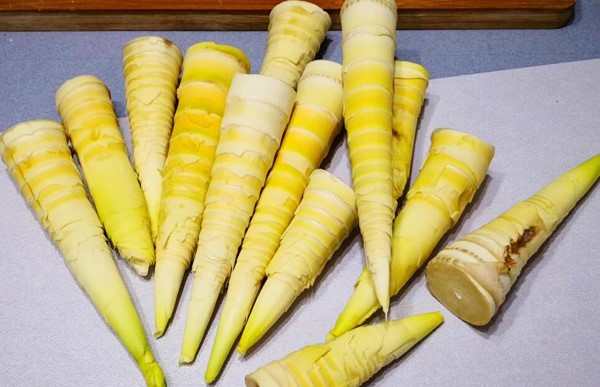 Ant Manor March 29: How to better preserve the fresh spring bamboo shoots you bought and can’t finish them