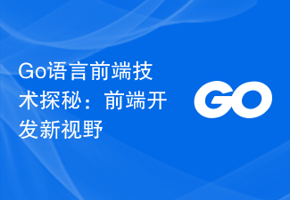 Go 언어 프런트엔드 기술 탐색: 프런트엔드 개발을 위한 새로운 비전