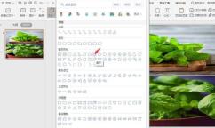 How to use two pictures to layout the cover image in WPS