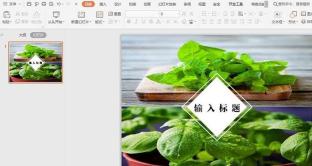 How to use two pictures to layout the cover image in WPS