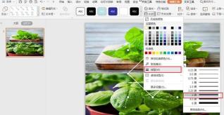 How to use two pictures to layout the cover image in WPS
