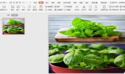 How to use two pictures to layout the cover image in WPS
