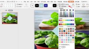 How to use two pictures to layout the cover image in WPS