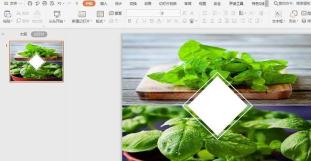 How to use two pictures to layout the cover image in WPS