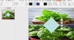How to use two pictures to layout the cover image in WPS