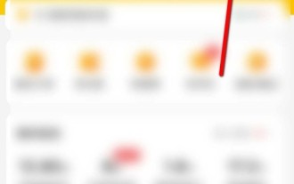 How to retrieve the forgotten payment password of Meituan_How to retrieve the forgotten payment password of Meituan