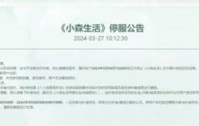 腾讯停运游戏+1！田园模拟《小森生活》5月30日正式停运