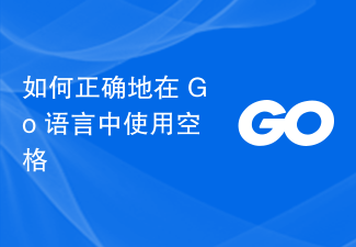 How to use spaces correctly in Go