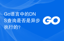 Go语言中的DNS查询是否是异步执行的?