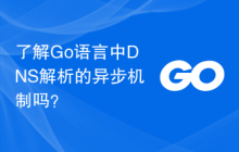 了解Go语言中DNS解析的异步机制吗?