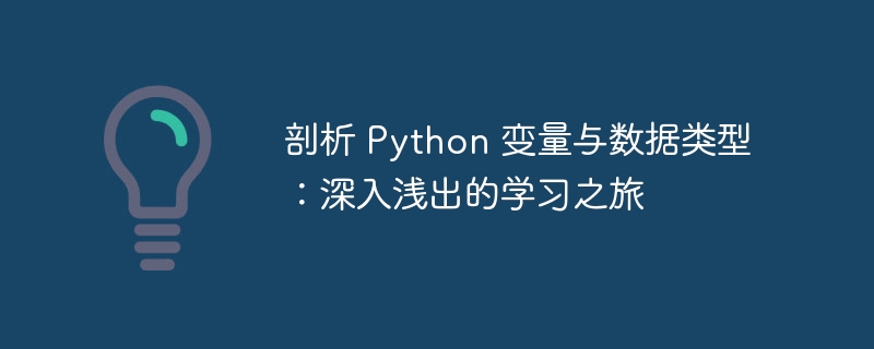 剖析 python 变量与数据类型：深入浅出的学习之旅