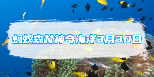 螞蟻森林神奇海洋3月30日：寬吻海豚會在珊瑚上摩擦身體主要是為了