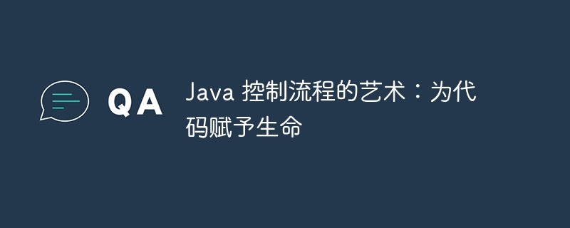 Java 控制流程的艺术：为代码赋予生命-java教程-