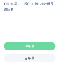 蚂蚁森林神奇海洋4月1日:生活在海中的柳叶鳗是鳗鱼的