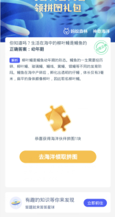 蚂蚁森林神奇海洋4月1日:生活在海中的柳叶鳗是鳗鱼的