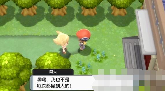 ポケモンのクリスタル、ダイヤモンド、ブライトパール、アヒルが道をふさいでいる問題を解決するにはどうすればよいですか?