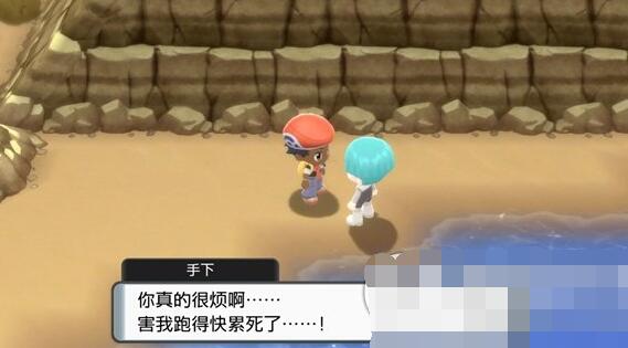 ポケモンのクリスタル、ダイヤモンド、ブライトパール、アヒルが道をふさいでいる問題を解決するにはどうすればよいですか?